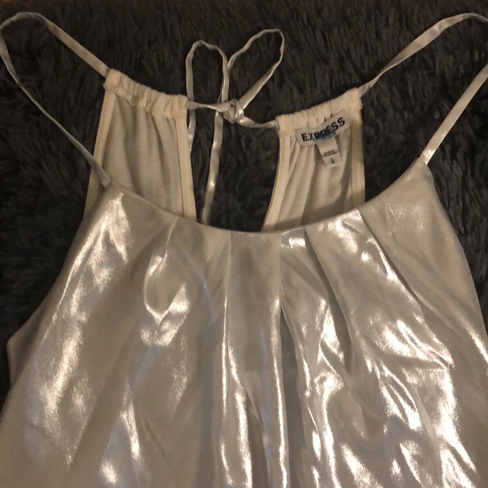 Silver Express Halter - Picture 2 of 5